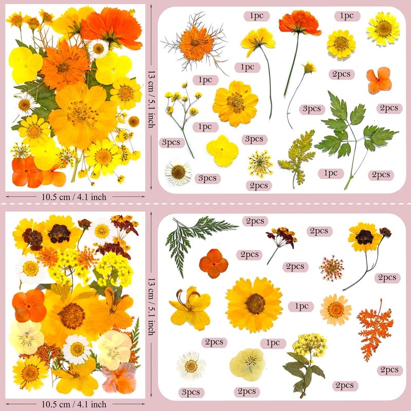 suaukey 94 Pcs Yellow Pressed Dried Flowers for Resin, Real Natural Bulk Dry Wildflowers Leaves Perfect for Epoxy Molds, DIY Crafts, Home Decor, Soap Candles Jewelry Making - Image 5